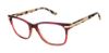 Picture of Superdry Eyeglasses SDOW016T