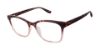 Picture of Superdry Eyeglasses SDOW012T