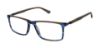 Picture of Superdry Eyeglasses SDOM007T