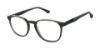 Picture of Superdry Eyeglasses SDOM005T