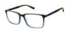 Picture of Superdry Eyeglasses SDOM003T