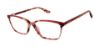 Picture of Superdry Eyeglasses SDOW005T