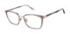 Picture of Superdry Eyeglasses SDOW008T
