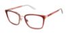 Picture of Superdry Eyeglasses SDOW008T