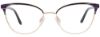 Picture of Takumi Eyeglasses TK1293