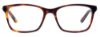 Picture of Takumi Eyeglasses TK998