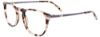 Picture of Takumi Eyeglasses TK1150