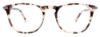 Picture of Takumi Eyeglasses TK1150
