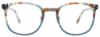 Picture of Takumi Eyeglasses TK1159