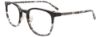 Picture of Takumi Eyeglasses TK1159