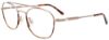 Picture of Takumi Eyeglasses TK1192