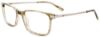 Picture of Takumi Eyeglasses TK1208