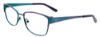 Picture of Takumi Eyeglasses TK1009