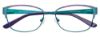 Picture of Takumi Eyeglasses TK1009