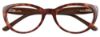 Picture of Takumi Eyeglasses TK933