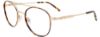 Picture of Takumi Eyeglasses TK1173