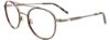 Picture of Takumi Eyeglasses TK1173