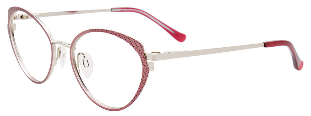 Picture of Takumi Eyeglasses TK1189
