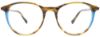 Picture of Takumi Eyeglasses TK1259