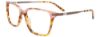 Picture of Takumi Eyeglasses TK1244