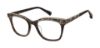 Picture of Ted Baker Eyeglasses TLW008