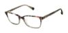 Picture of Ted Baker Eyeglasses TLW009
