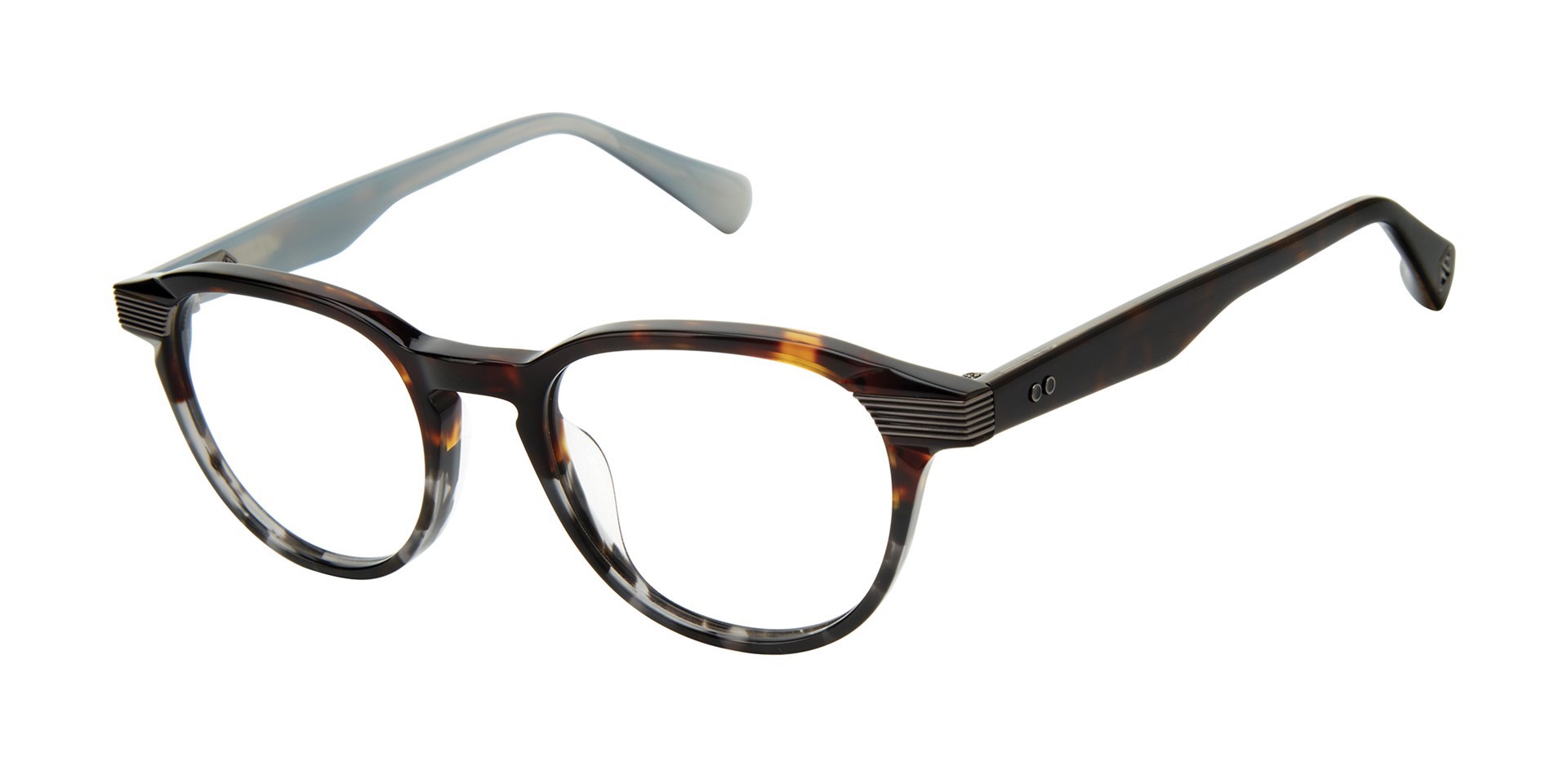 Picture of Ted Baker Eyeglasses TLM004