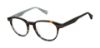 Picture of Ted Baker Eyeglasses TLM004