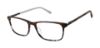 Picture of Ted Baker Eyeglasses TFM017