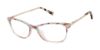 Picture of Ted Baker Eyeglasses TKG002