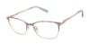 Picture of Ted Baker Eyeglasses TKG001