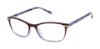 Picture of Ted Baker Eyeglasses TKG003