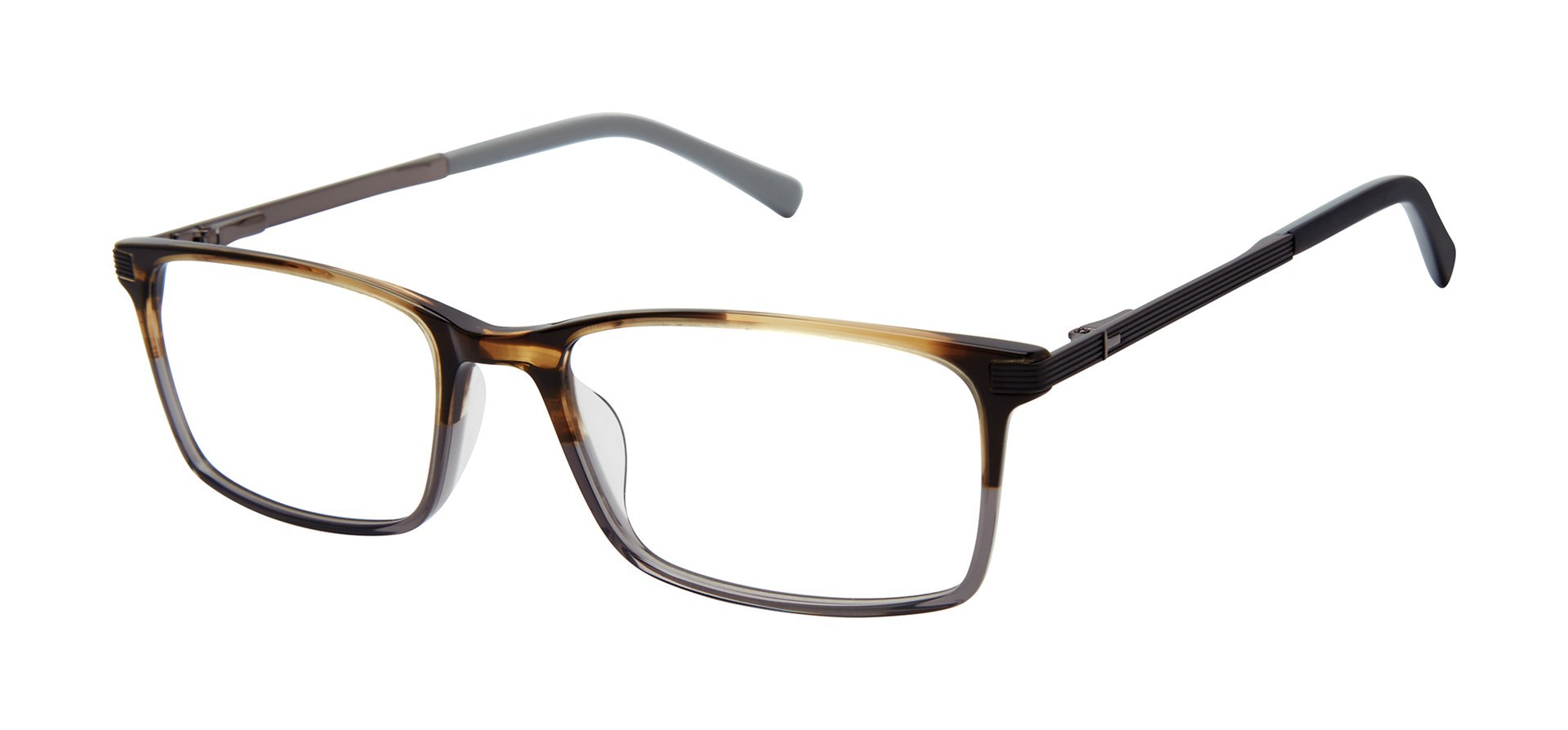 Picture of Ted Baker Eyeglasses TFM016