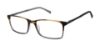Picture of Ted Baker Eyeglasses TFM016
