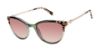 Picture of Ted Baker Sunglasses TWS258