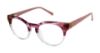 Picture of Ted Baker Eyeglasses B994
