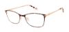 Picture of Ted Baker Eyeglasses TW522