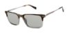 Picture of Ted Baker Sunglasses TMS171