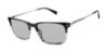 Picture of Ted Baker Sunglasses TMS171