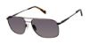 Picture of Ted Baker Sunglasses TMS175