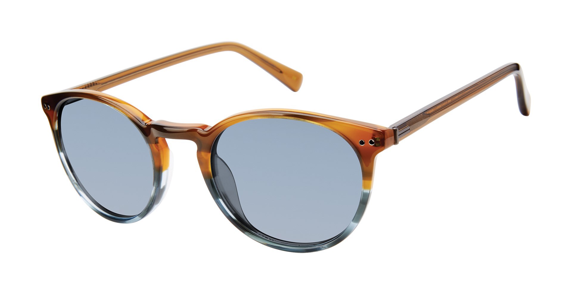 Picture of Ted Baker Sunglasses TMS173