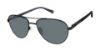 Picture of Ted Baker Sunglasses TMS174