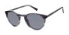 Picture of Ted Baker Sunglasses TMS173