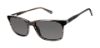 Picture of Ted Baker Sunglasses TMS170