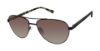 Picture of Ted Baker Sunglasses TMS174