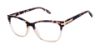 Picture of Ted Baker Eyeglasses TW020