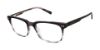 Picture of Ted Baker Eyeglasses TM015