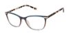 Picture of Ted Baker Eyeglasses TFW018