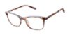 Picture of Ted Baker Eyeglasses TFW016