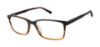 Picture of Ted Baker Eyeglasses TFM013